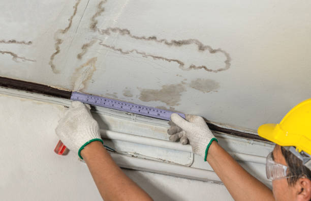 Reliable Burst Pipe Cleanup contractor in Buffalo, MN by Water Damage Irwin